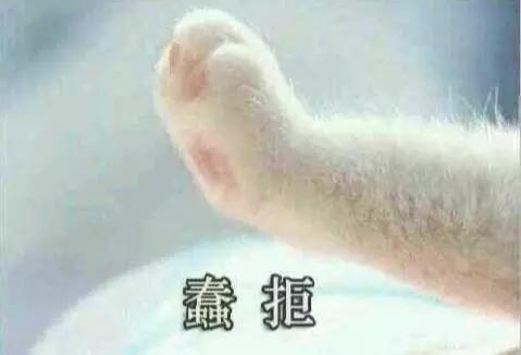  牵宝宝的手套路表情包合集牵手成功牵手失败