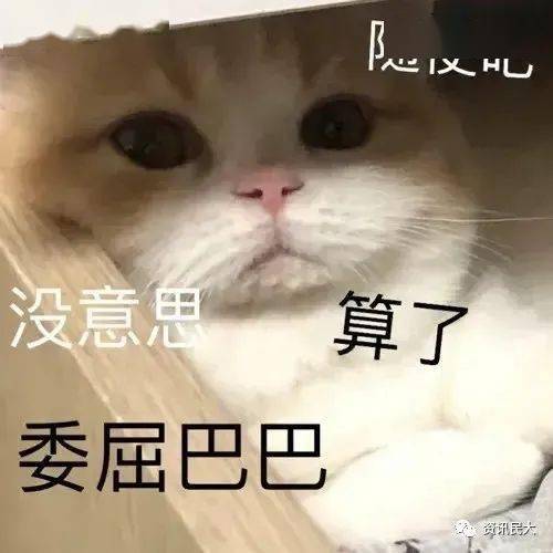  跳远一米一,长跑跑不动,引体上不去,民大体测人图鉴戳中你的心了吗坐位