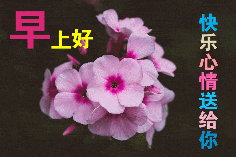  最漂亮早上好动态表情图片大全,早晨好动图美图大全