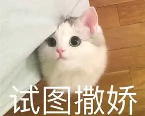  男子野外露营,一觉醒来被3只豹子包围,睁开眼只想继续装睡