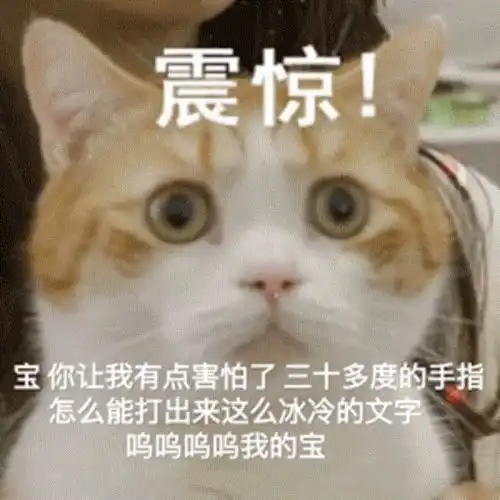  qq飞车手游别再说这衣服不好看了,只是你不会搭而已,来学