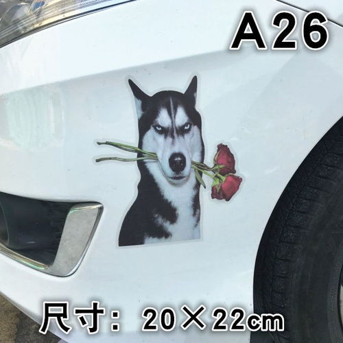  哈士奇二哈表情眼神个性创意搞笑车贴保险杠划痕遮挡汽车贴纸防水