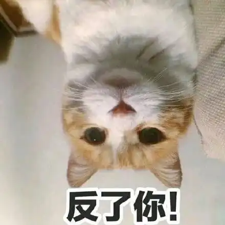算我求你的表情包猫噬元