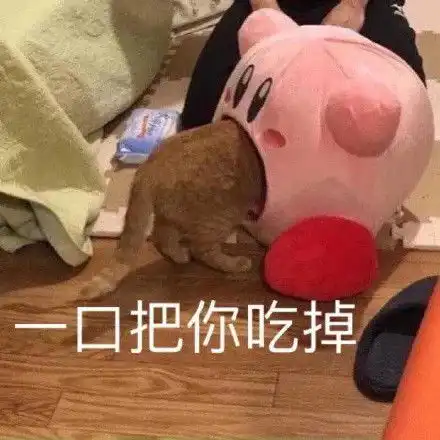  大佬的肯定大佬肯定表情