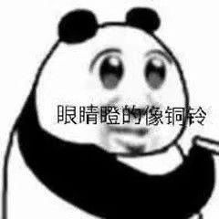 一把年纪可爱表情包考研
