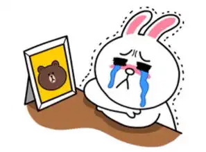  小葵花日记