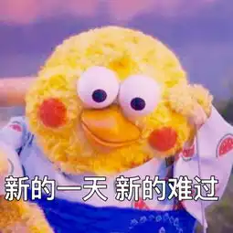  qq鹦鹉兄弟表情包大全