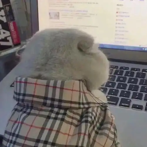  朋友圈封面头像套图