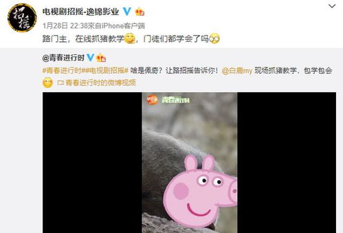  白鹿这是要抢了许凯的男主吧剧内剧外都是飒女子