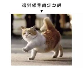  工程项目部表情大全,爆笑慎入