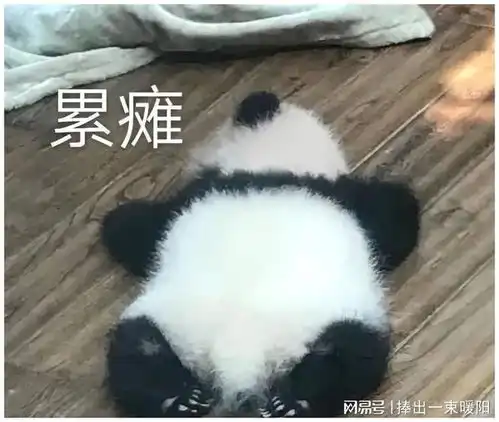  闺蜜总是找我男友聊天,男友是靠我才发达的,现在他有分手的意思
