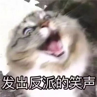  微信斗图哈哈哈表情包图片大全给我一份你的笑容超大份的
