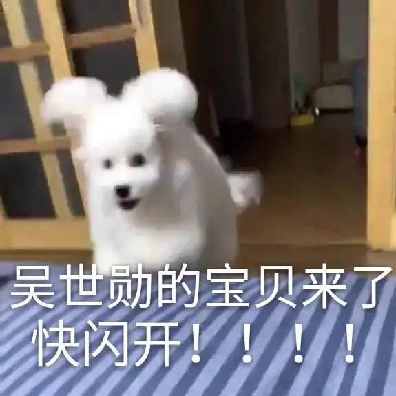  搞一个吴vivi的表情包楼又更新了一波