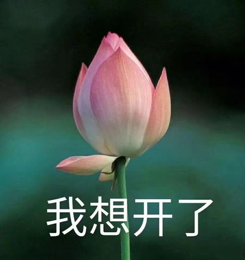  我准备好了