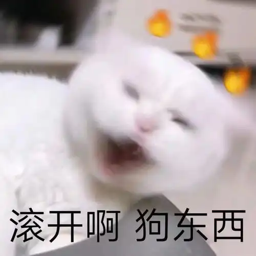  萌宠表情包安安静静当个废物挺好的