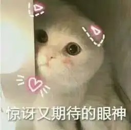  权少,宠我我超乖恩很宅新文火热上线,剧场抢先看