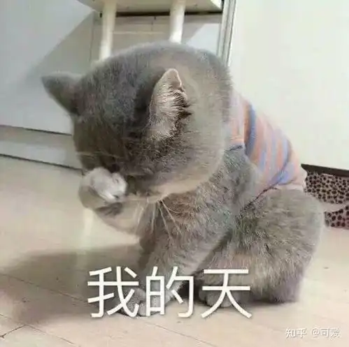 算我求你的表情包猫蓝猫