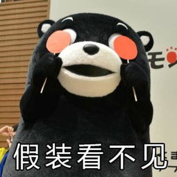  有趣表情包之超萌的熊本熊萌逗起来啦本宝宝就是要抱抱