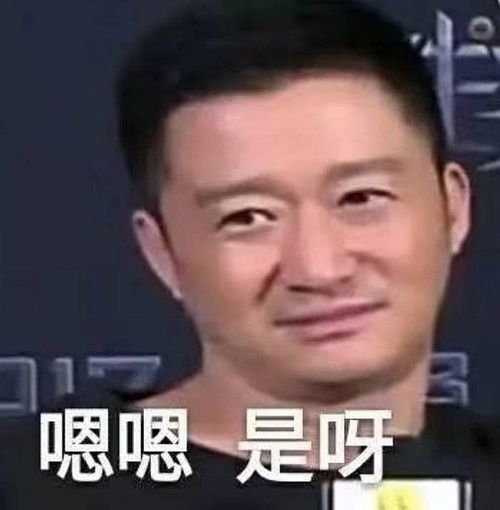 我的收藏
