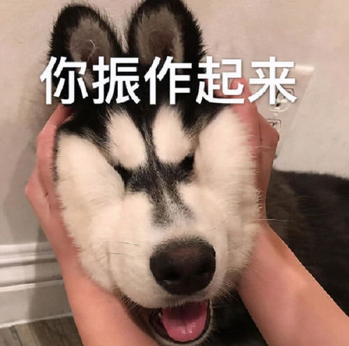 今晚约吗文字表情包抖音