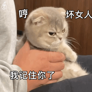  mermer猫表情包怎么做今日头条