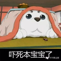  天价去黑头续店员这还算便宜的一般3050元一颗