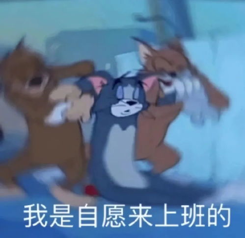  热门表情包大合集丨病情严重