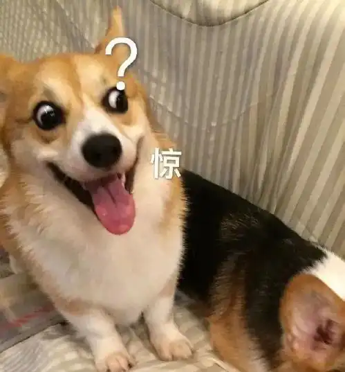  满满一组沙雕表情包