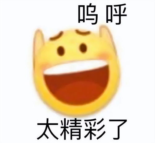  这就是有钱人的世界吗表情包