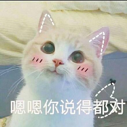  你不必成为戴安娜