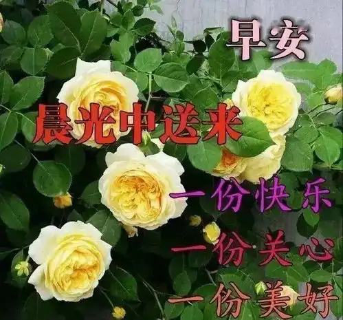  问候老同学的早上好表情包,有心天天在一起,就是时间不允许