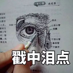  那几个让你恨得牙疼的学科