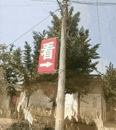  搞笑gif段子你这只小黄鸭比较活泼
