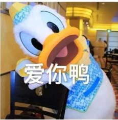  一方水土好养神心是甜蜜又养颜会东可河红糖