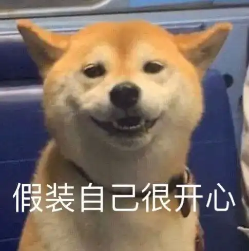  我当着全班加zoom四五十人的面扫屏幕二维码重置邮箱密码