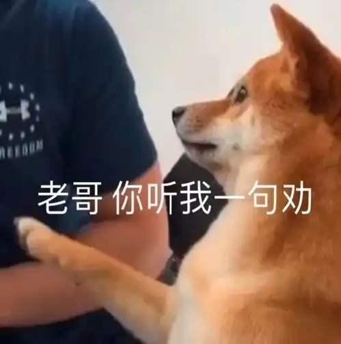  神回复你和对象因为什么奇怪的理由吵过架哈哈,评论不讲口德