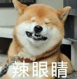  史上最全柴犬表情包合集来啦,约吗