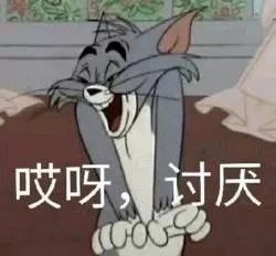 恶心心讨厌厌表情包猫和