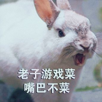  表情包我菜你也得带我玩