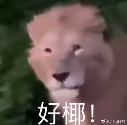 生活的表情包扑倒