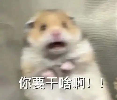 真怂表情包小仓鼠