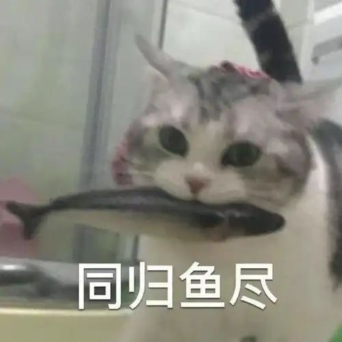  待我上网,假装不悲伤热门的沙雕表情包图片