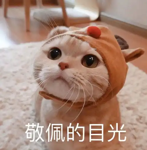 憨憨表情包图片康子君