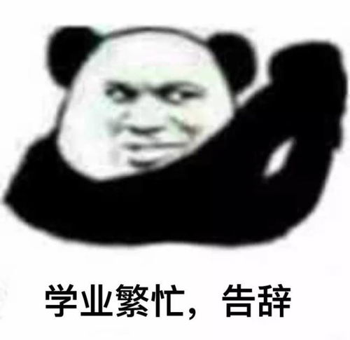  你的表情包该换血了保证你出门斗图再也不输
