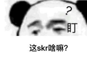  这s一kr全部都是skr的skr推送