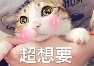  你在等的就是一个机会,现在她来了