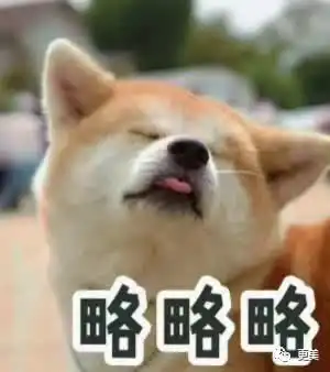  娜扎林依晨徐若瑄......那些出现在周杰伦歌里的jay女郎们,如今最美的竟是她