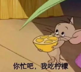  19年最新猫和老鼠表情包来啦,你们先忙,我吃会柠檬片