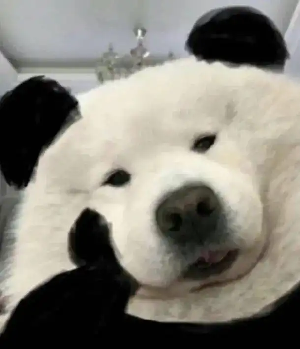  双眼皮大眼睛已经过时了新美女标准竟然是这样