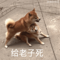  连张学友都要冲这星球没他们在乎的人了